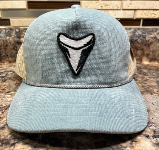 Sharks tooth hat